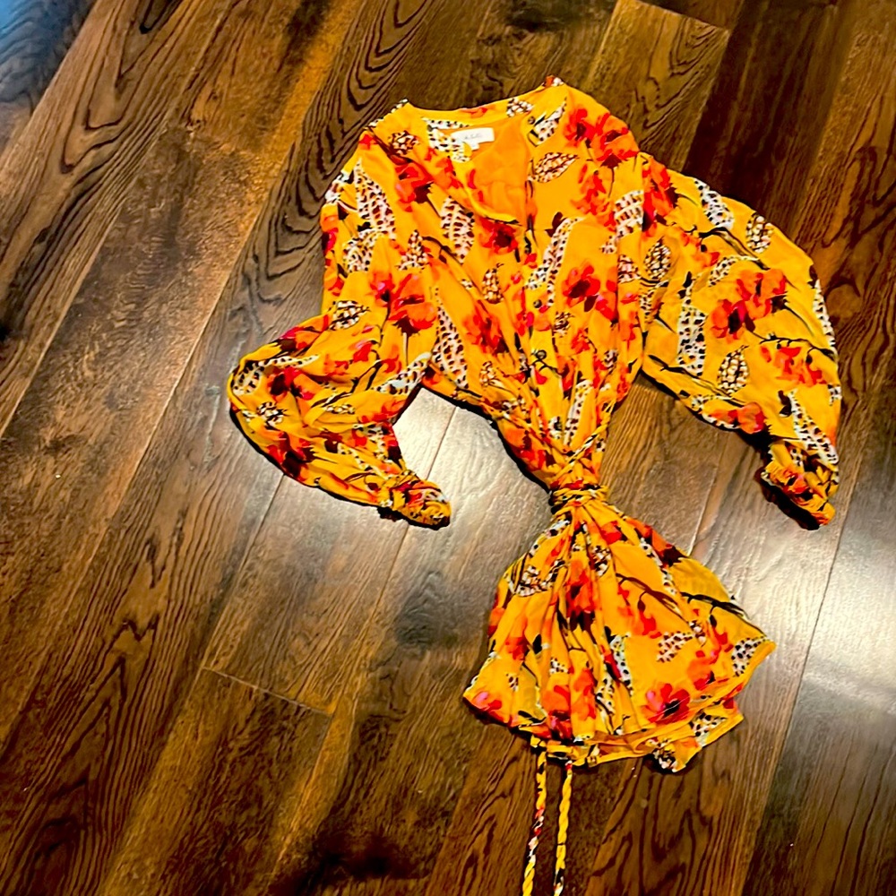 Beautiful ALC dress